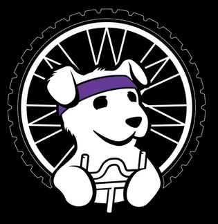 Health and wellness benefits at Datadog